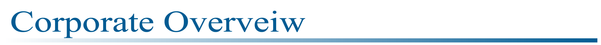 Corporate Overviw 公司简介